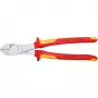 Knipex 74 06 250 Produkt