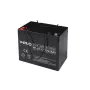 Batterie VIPER VPRO 12V 55Ah (versiegelte AGM) Modell 22725 für Backup- und USV-Anwendungen