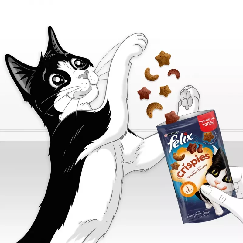 Trockene Katzenleckerli Felix Crispies Rind & Huhn 45 g — fleischiger knuspriger Snack für ausgewachsene Katzen, 31,5 % Protein, 15,5 % Fett