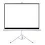 Projektionsleinwand Sponge Silelis 200x200 cm Stativleinwand, tragbar quadratisch 1:1 Format