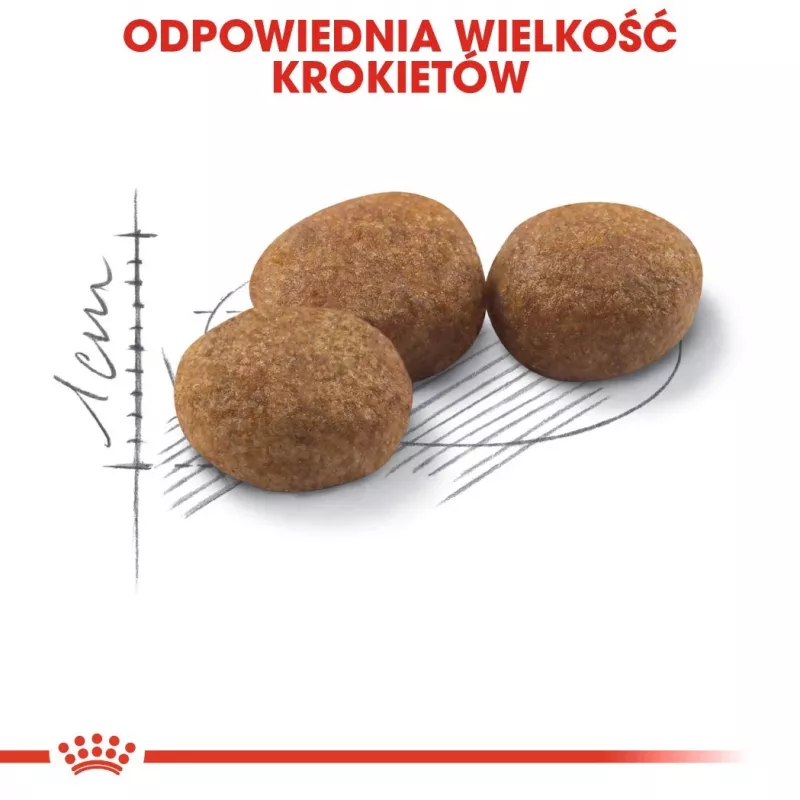 Trockenfutter für Katzen Royal Canin Sterilised 37 Adult, Geflügelgeschmack, 4 kg, 37 % Protein, 12 % Fett