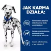HILL'S PRESCRIPTION DIET Urinary Care Canine u/d Trockenfutter für Hunde 10 kg