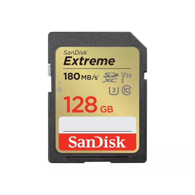 Speicherkarte SDXC 128 GB UHS-1/SDSDXWA-128G-GNCIN Sandisk