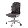 Fellowes Rückenstütze für Bürostuhl - Office Suites Mesh-Rückenstütze mit Mesh-Gewebe - H51,28 x B43,97 x T14,13 cm