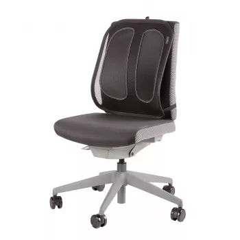 Fellowes Rückenstütze für Bürostuhl - Office Suites Mesh-Rückenstütze mit Mesh-Gewebe - H51,28 x B43,97 x T14,13 cm