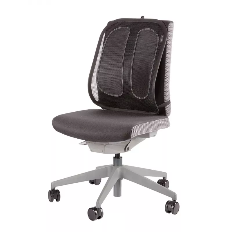 Fellowes Rückenstütze für Bürostuhl - Office Suites Mesh-Rückenstütze mit Mesh-Gewebe - H51,28 x B43,97 x T14,13 cm
