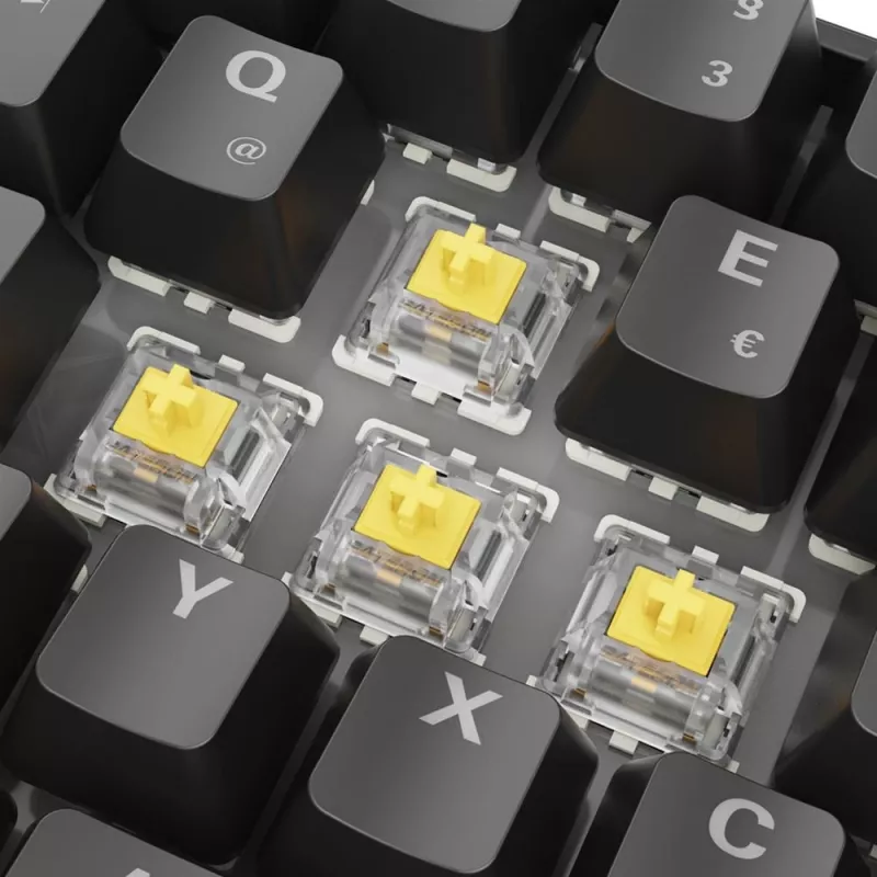 Sharkoon 100065629 Tastatur Home USB QWERTZ Deutsch Schwarz