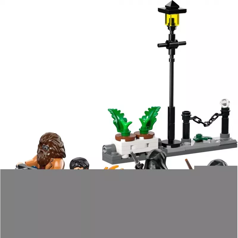 LEGO HARRY POTTER 76459 Hagrid und Harrys Flucht aus der Privet Drive