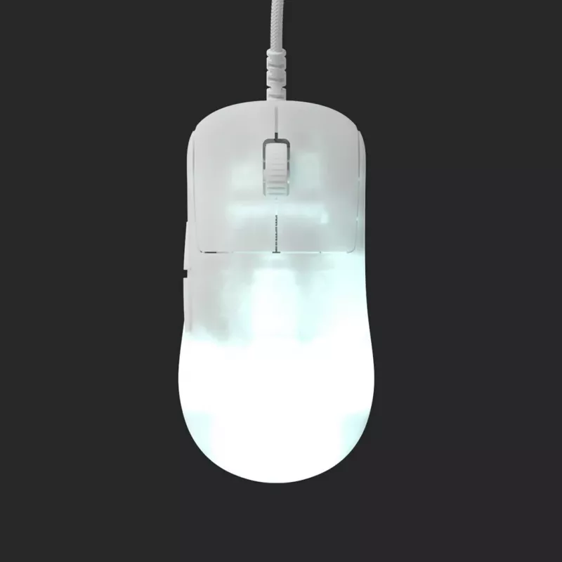 Endgame Gear OP1 RGB Maus Gaming Rechtshänder USB Typ-A Optisch 26000 DPI