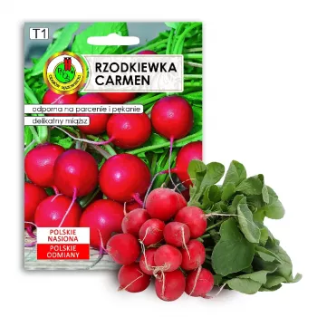 Seeds Apte Rzodkiewka CARMEN — Polnische Rettichsorte für den ganzjährigen Anbau