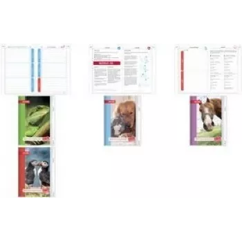 Notebook ROTH Papageientaucher A5 Liniert 104 Blatt — ROTH 89511