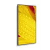 NEC MultiSync M651-2 Kioskdesign 165,1 cm (65 Zoll) LED 500 cd/m² 4K Ultra HD Schwarz Eingebauter Prozessor