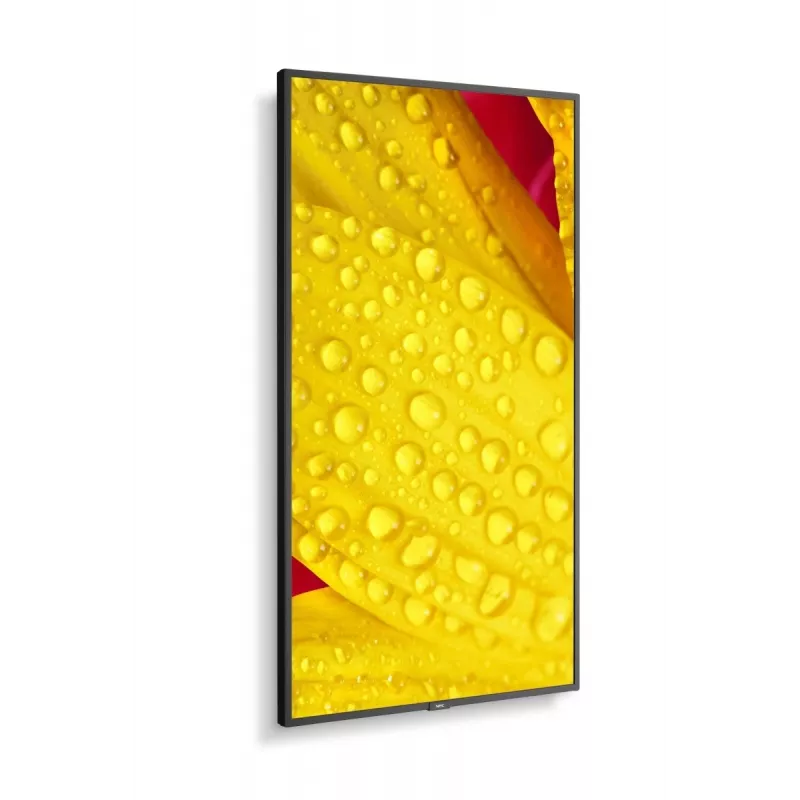 NEC MultiSync M651-2 Kioskdesign 165,1 cm (65 Zoll) LED 500 cd/m² 4K Ultra HD Schwarz Eingebauter Prozessor