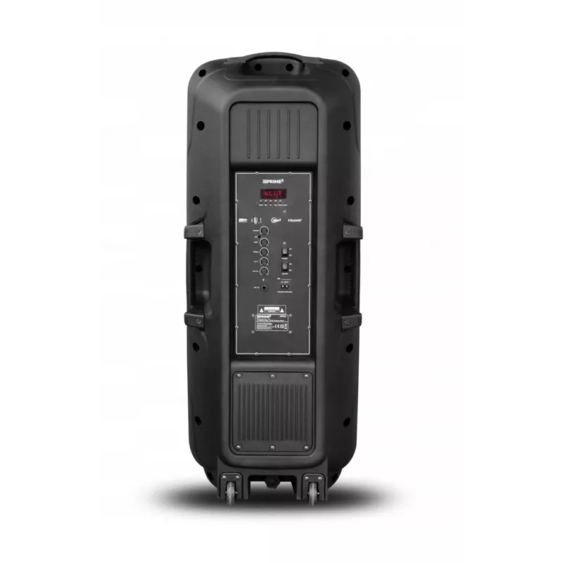 Tragbarer Lautsprecher APA24 Bluetooth Karaoke, Schwarz