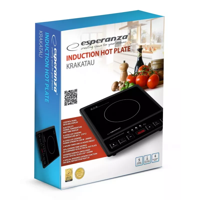 Esperanza EKH011 Kochfeld Schwarz Flache Oberfläche Induktionskochfeld 1 Kochzone(n)