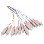 LOGON LFP035 InfiniBand/Glasfaserkabel 2 m 12x SC Mehrfarbig (LFP035)