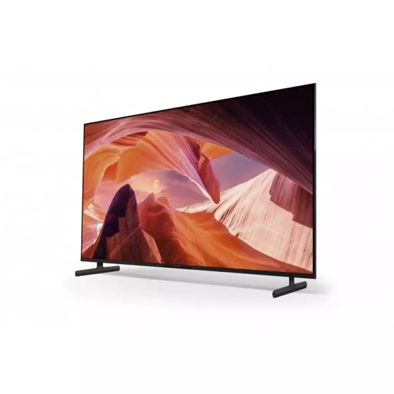 Sony FWD-65X80L TV 165.1 cm (65 Zoll) 4K Ultra HD Smart-TV Wi-Fi Schwarz