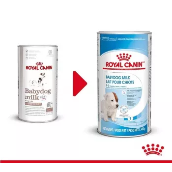 Milchpulver für Welpen Royal Canin Babydog Milk 400 g — Geflügelgeschmack, 33% Protein, 39% Fett, Vitamine und Mineralstoffe