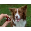 GELOREN Large dog Joints - Hundevitamine - 420g