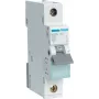 Hager MBN150. Polanzahl: 1P. AC-Eingangsfrequenz: 50/60 Hz, Nennausgangsstrom: 50 A (MBN150)