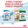ROYAL CANIN Mini Puppy SHN Trockenfutter für Hunde 2 kg