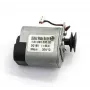 Zebra P1031925-019 Drucker/Scanner Ersatzteil/Zubehör Motor 1 Stk.