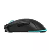 Maus Baracuda BGM-121 Turtle Schwarz USB