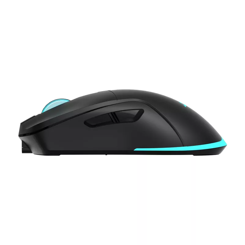 Maus Baracuda BGM-121 Turtle Schwarz USB