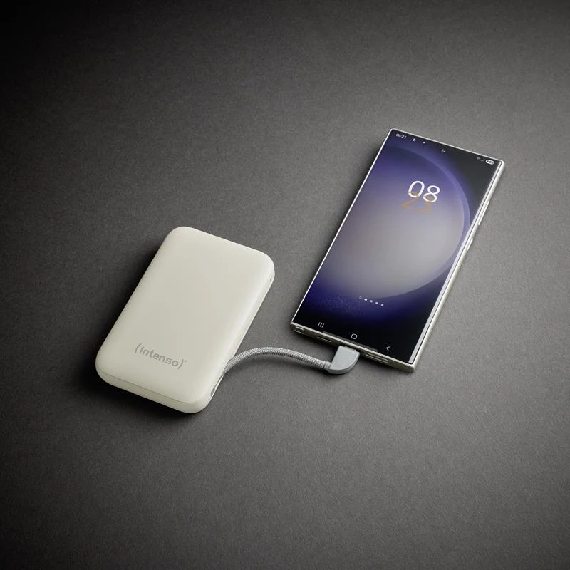 Powerbank USB 10000MAH/BEIGE S10000 7333031 Intenso