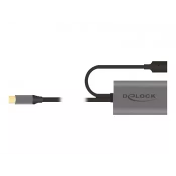 Delock USB-20225 Netzteil Grau