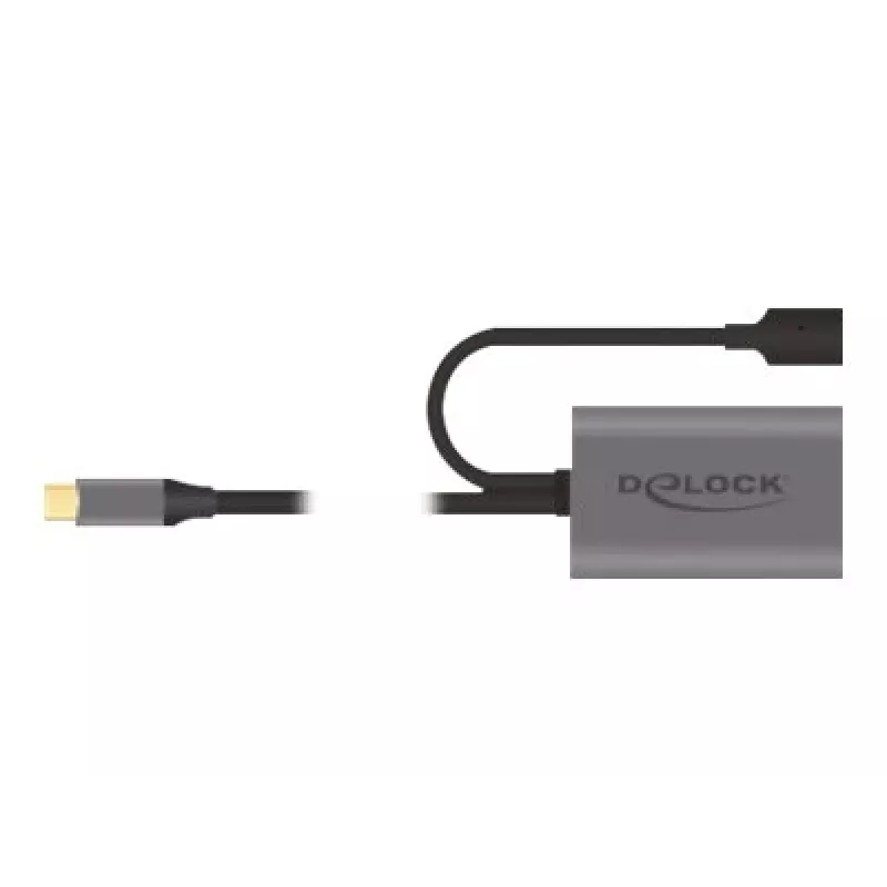Delock USB-20225 Netzteil Grau