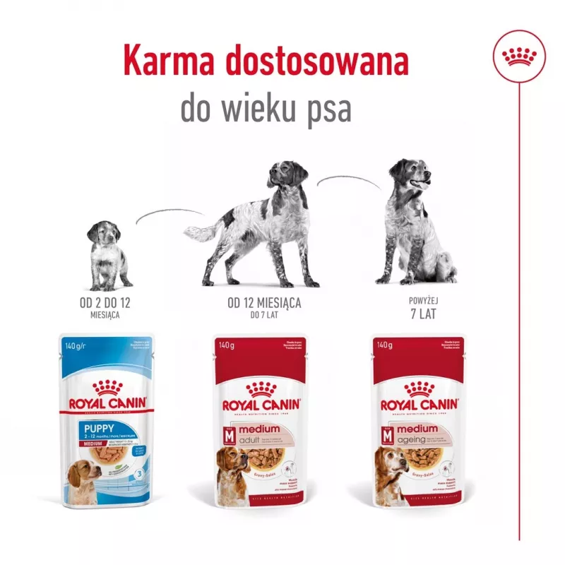 ROYAL CANIN SHN Medium Adult in Sauce - Nassfutter für ausgewachsene Hunde - 10x140g