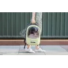 Haustier-Reiserucksack PetKit Breezy 2 (Grün)