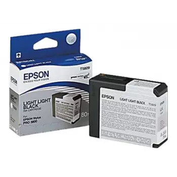 Epson Singlepack Light Light Black T580900, Hell helles Schwarz, Pigmenttinte, 80 ml, 1 Stück
