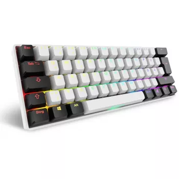 Sharkoon SGK50 S4 Tastatur Home USB QWERTZ Deutsch Weiß RGB LED 60%