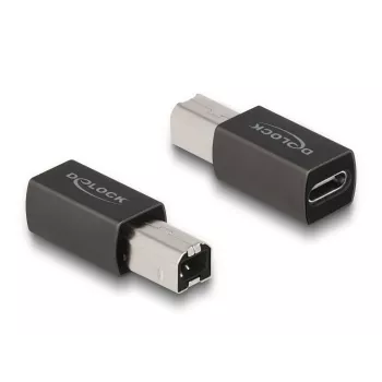 DeLOCK USB 2.0 Adapter USB Type-C Buchse auf Typ-B Stecker 65839