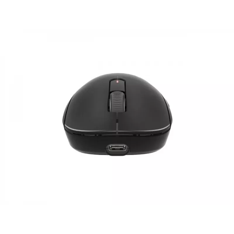 FURY TANTO T4 WIRELESS GAMING Maus KABELLOS 12000DPI SCHWARZ GAMING