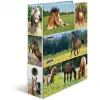 Ringbuch HERMA 19251 A4 Mehrfarbig D-Ring-Aufbewahrung 285x315mm