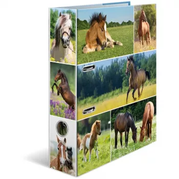 Ringbuch HERMA 19251 A4 Mehrfarbig D-Ring-Aufbewahrung 285x315mm