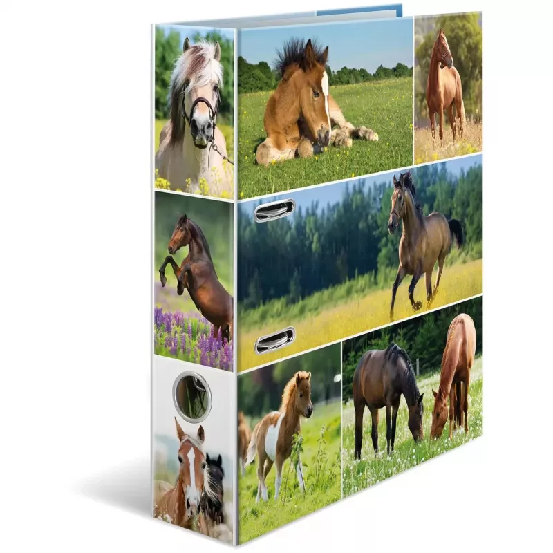 Ringbuch HERMA 19251 A4 Mehrfarbig D-Ring-Aufbewahrung 285x315mm