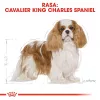 Trockenfutter für Hunde Royal Canin Cavalier King Charles Adult 1,5 kg — Huhn, kleine Rasse, Haut & Fell, Herzunterstützung