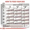 Diätfutter Nassfutter Royal Canin Gastro Intestinal 200 g — ausgewachsene Hunde, Geflügel, Verdauungsunterstützung