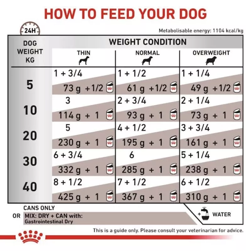 Diätfutter Nassfutter Royal Canin Gastro Intestinal 200 g — ausgewachsene Hunde, Geflügel, Verdauungsunterstützung