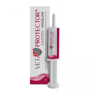 Flüssiges Darmunterstützungs-Supplement JM Sante VET PROTECTOR Gastro Butyrate 60 ml für Hunde und Katzen, Nahrungsergänzung, sojafrei, glutenfrei