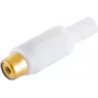 Cinch (RCA)-Stecker ShiverPeaks 51500-WG mit vergoldeten Kontakten