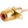 RCA-Stecker ShiverPeaks BS52091-R Gold Male