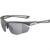 Alpina Nylos HR Sonnenbrille Kat. 3 Grau
