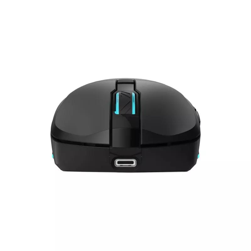 Maus Baracuda BGM-121 Turtle Schwarz USB