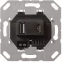 Gira USB-Spannungsversorgung 2-fach Type A/C Einsatz 236900 (236900)