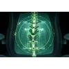 Razer Ergonomic Gaming-Stuhl with Breathable Comfort | Iskur V2 NewGen | Schwarz